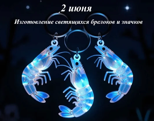 2 июня
Изготовление светящихся брелоков и значков